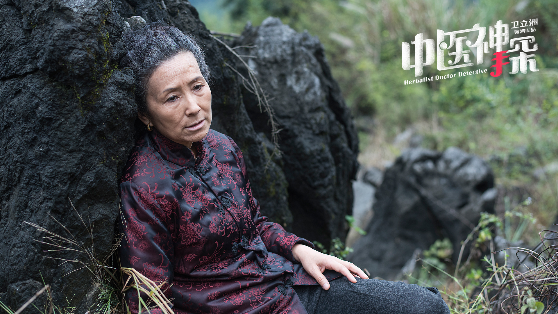 中医神探剧照的剧照
