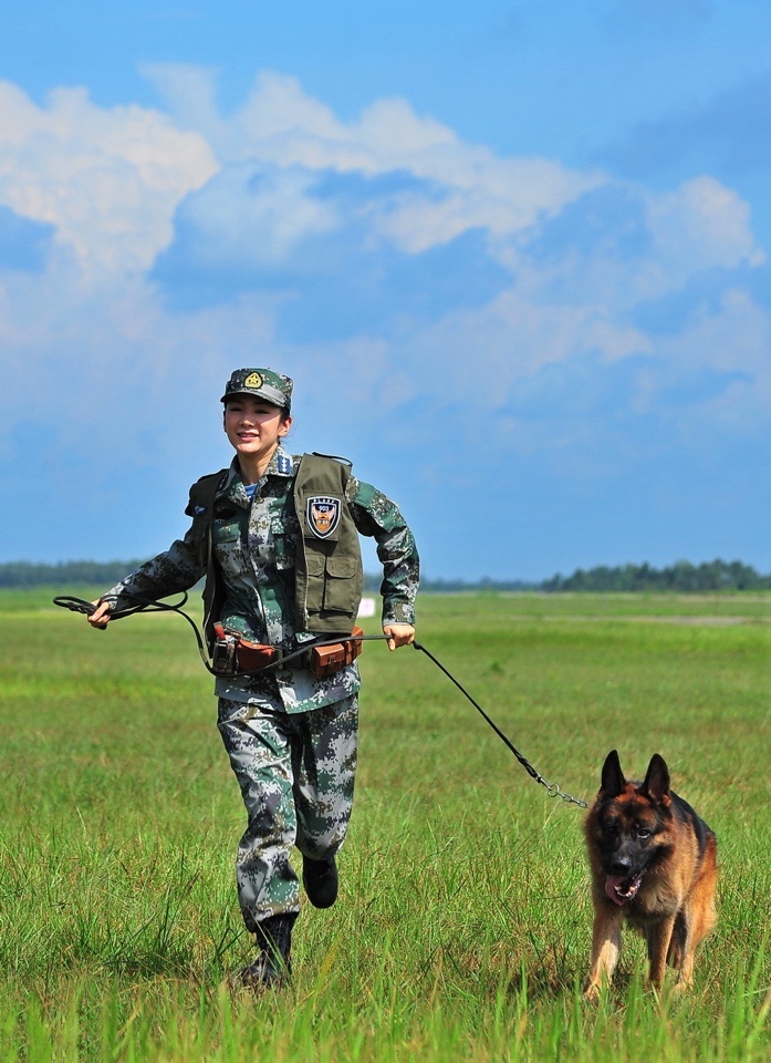 歼十出击剧照的剧照