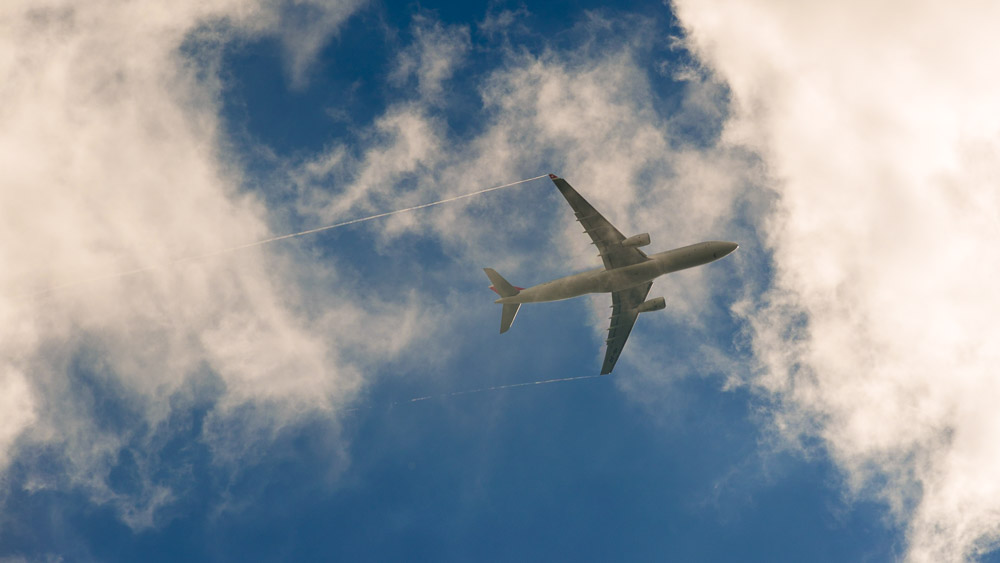 飞行员之眼：苏黎世-迈阿密剧照的剧照