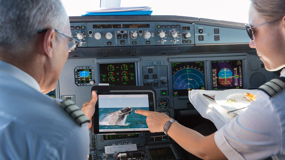 飞行员之眼：苏黎世-迈阿密剧照的剧照