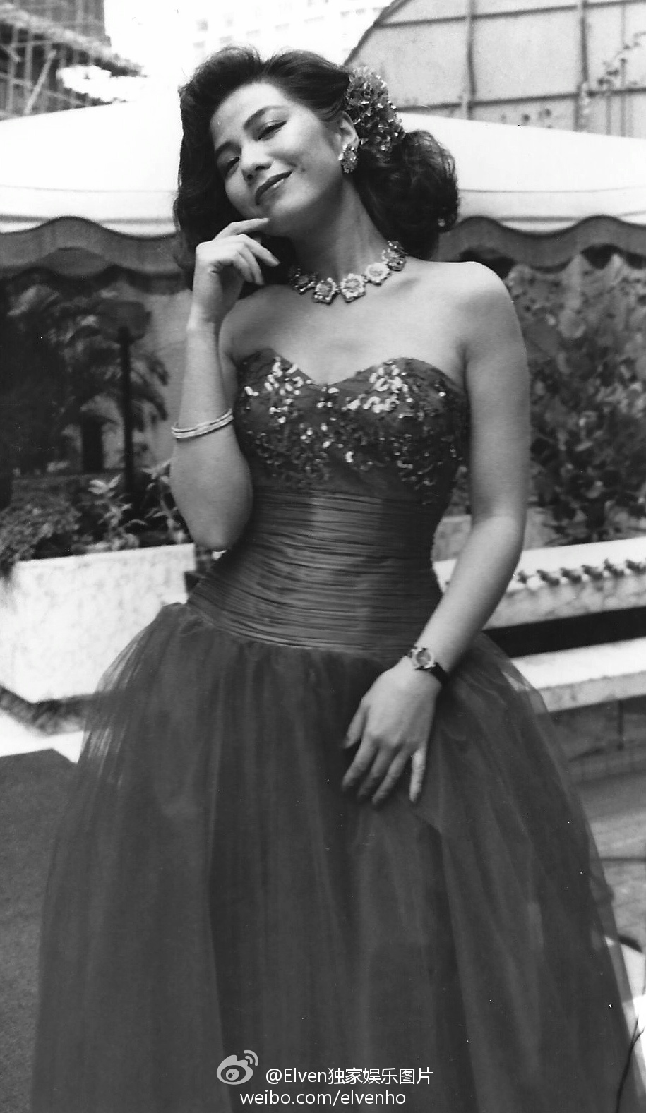 月亮星星太阳剧照的剧照