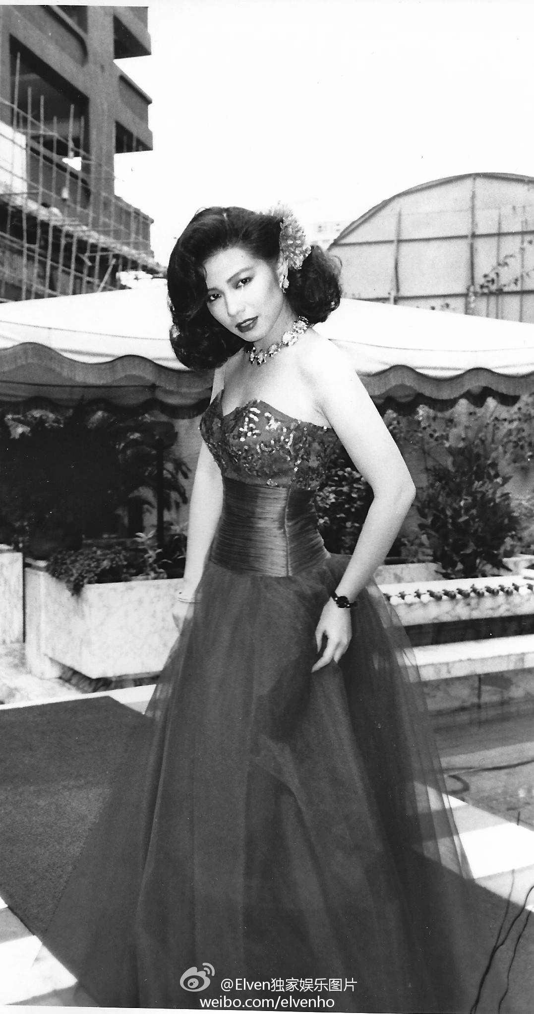 月亮星星太阳剧照的剧照