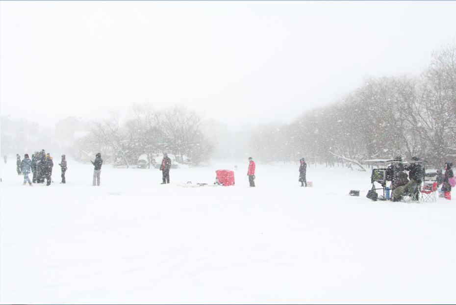 山上有棵圣诞树剧照的剧照