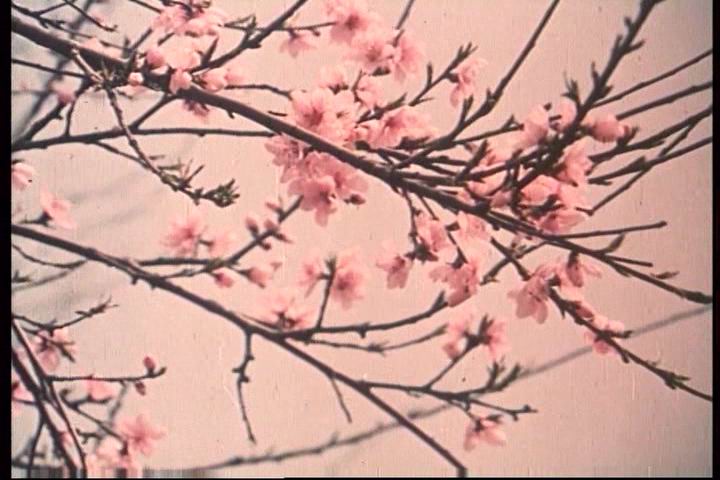 第十个弹孔剧照的剧照