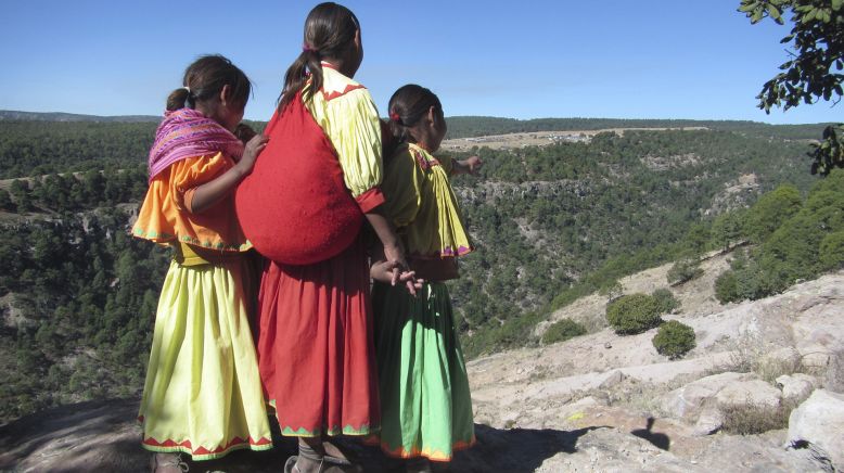 翻山涉水上学路剧照的剧照