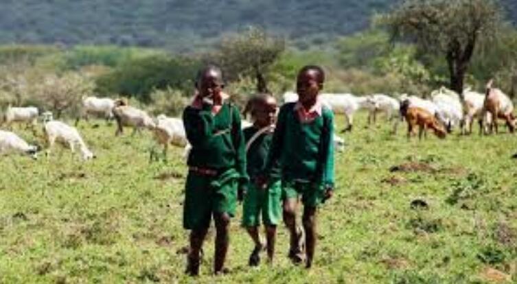 翻山涉水上学路剧照的剧照