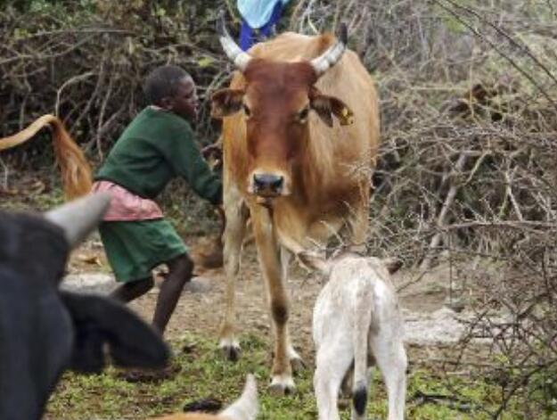 翻山涉水上学路剧照的剧照