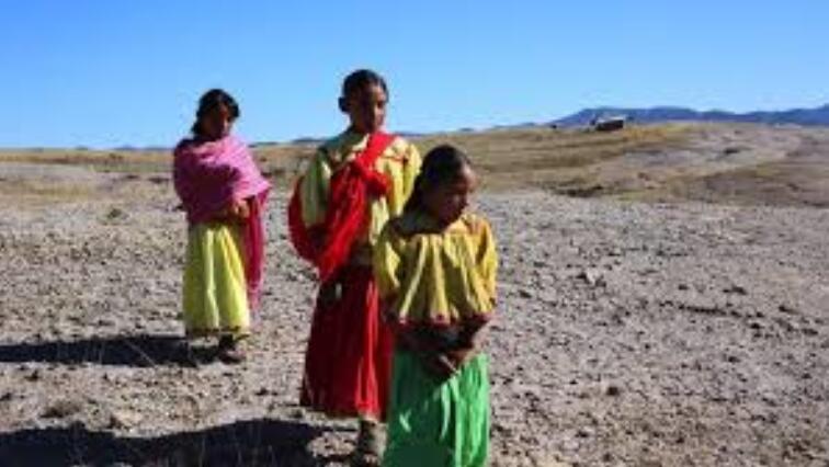 翻山涉水上学路剧照的剧照