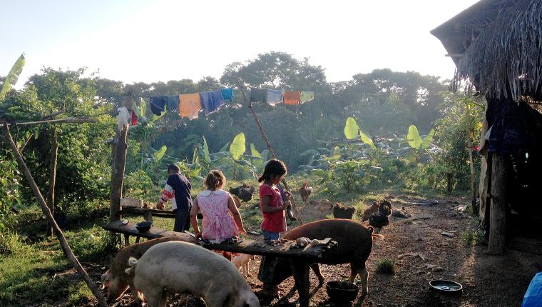 翻山涉水上学路剧照的剧照