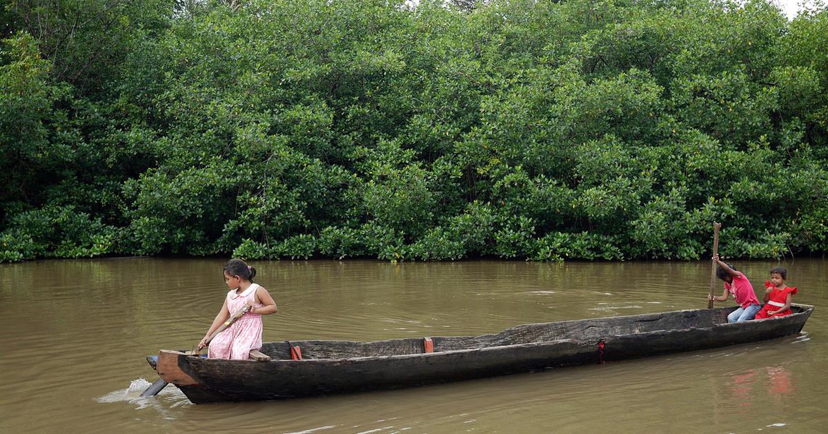 翻山涉水上学路剧照的剧照