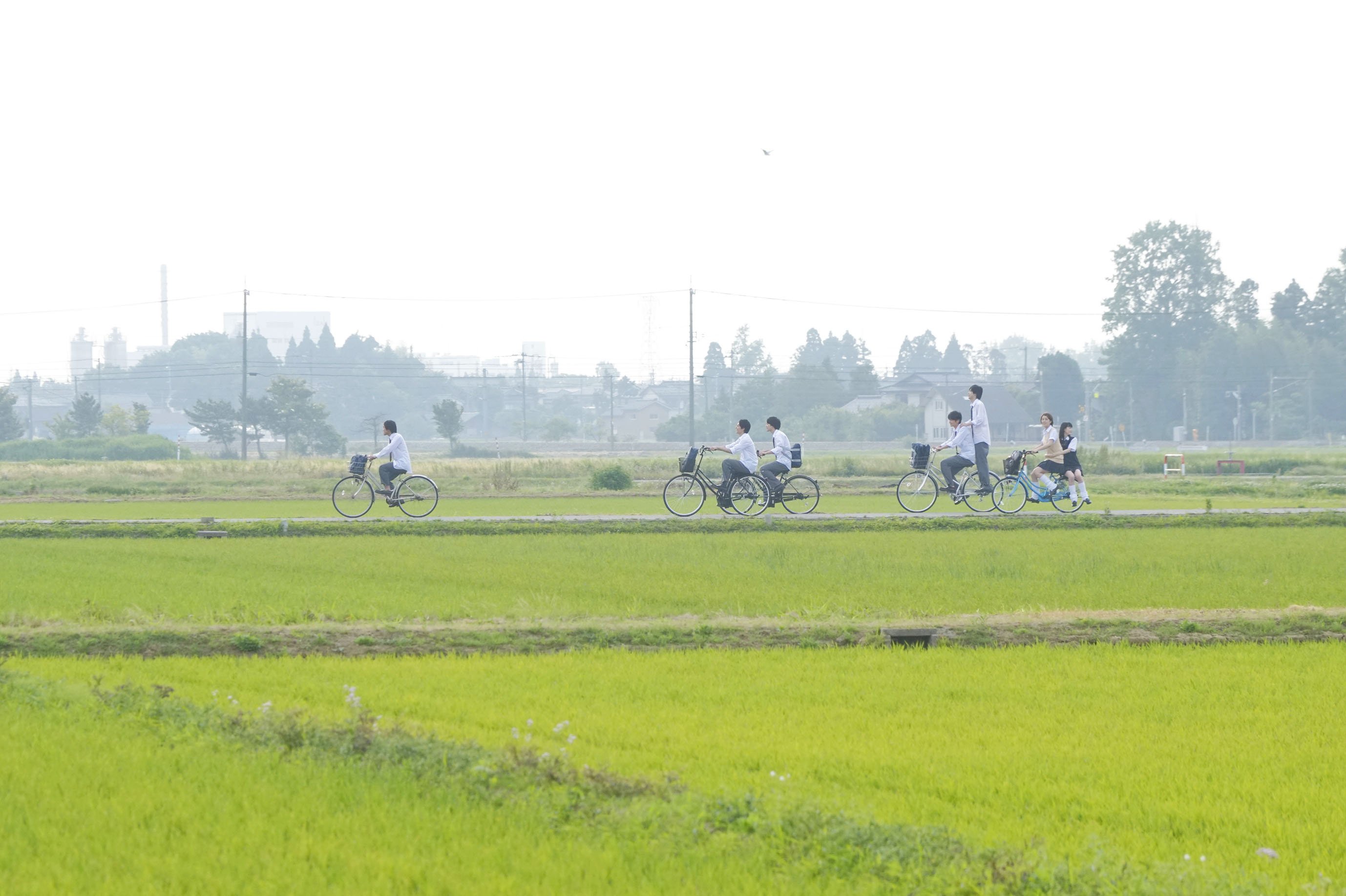 这里好无聊，快来接我剧照的剧照