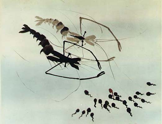 小蝌蚪找妈妈剧照的剧照