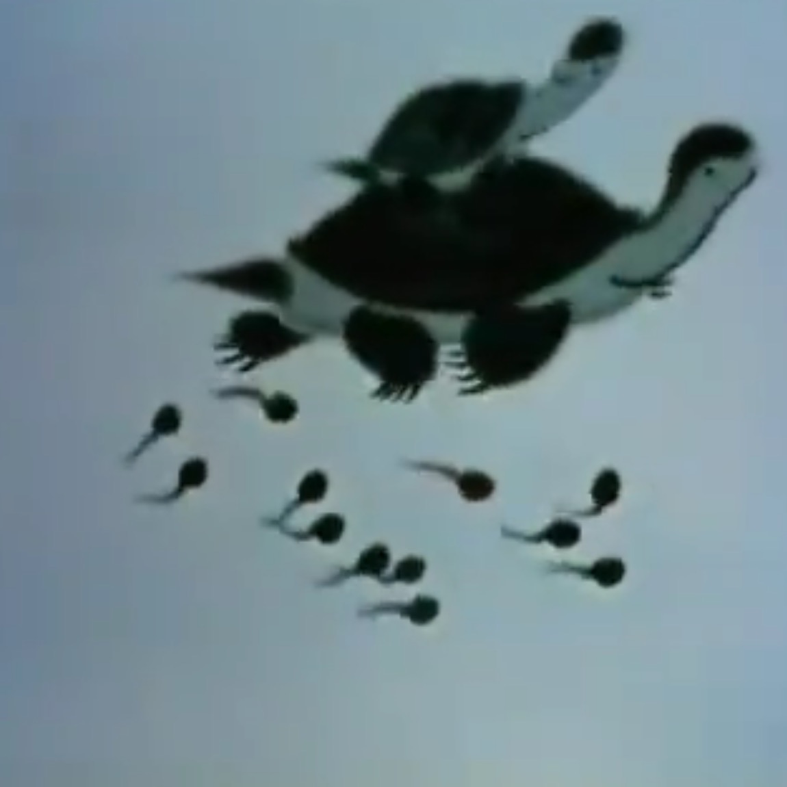 小蝌蚪找妈妈剧照的剧照