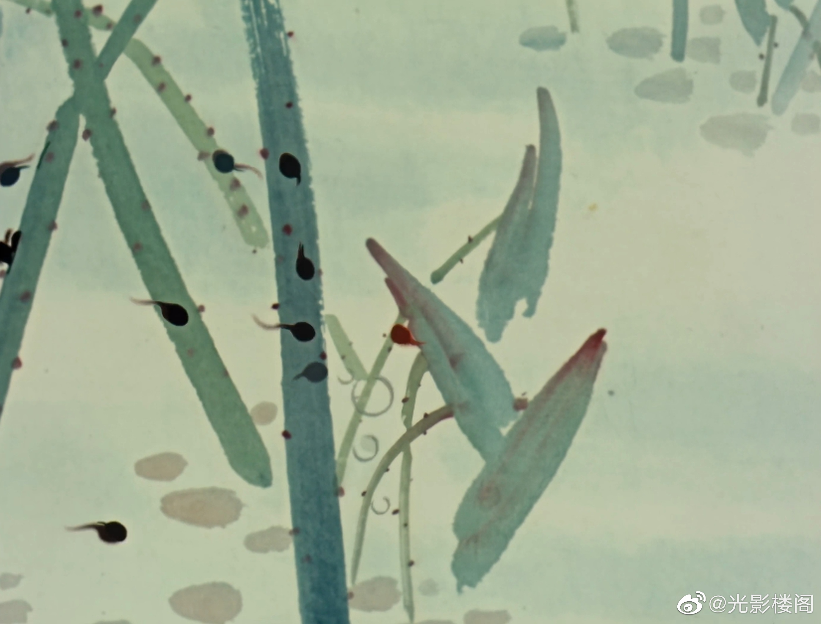 小蝌蚪找妈妈剧照的剧照