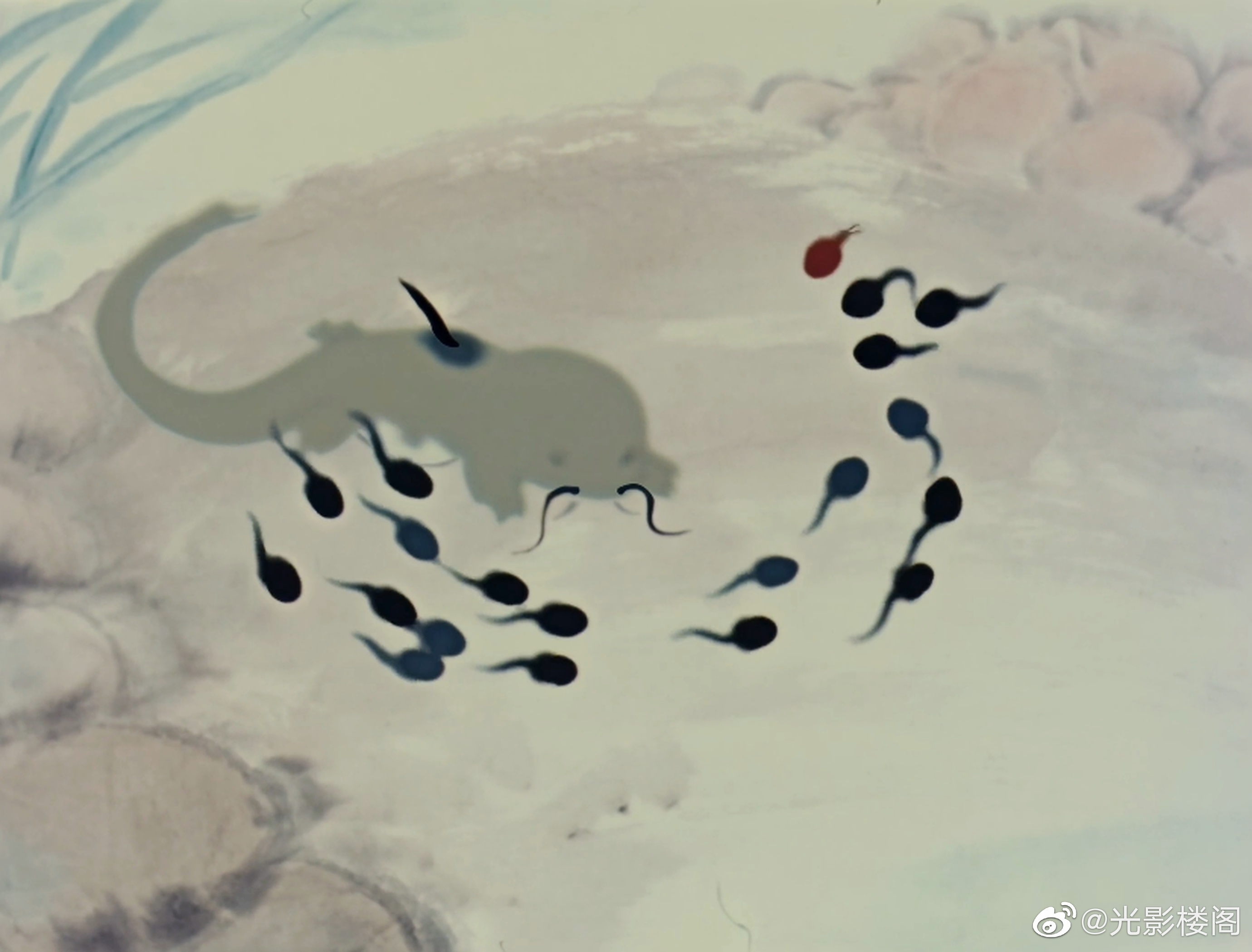 小蝌蚪找妈妈剧照的剧照