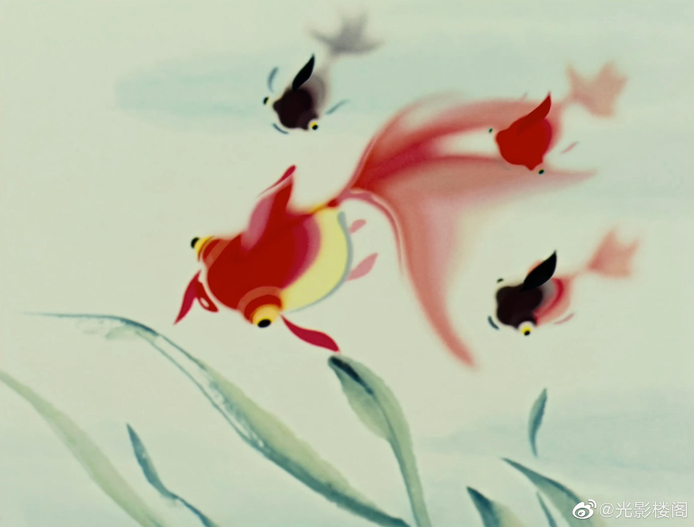 小蝌蚪找妈妈剧照的剧照