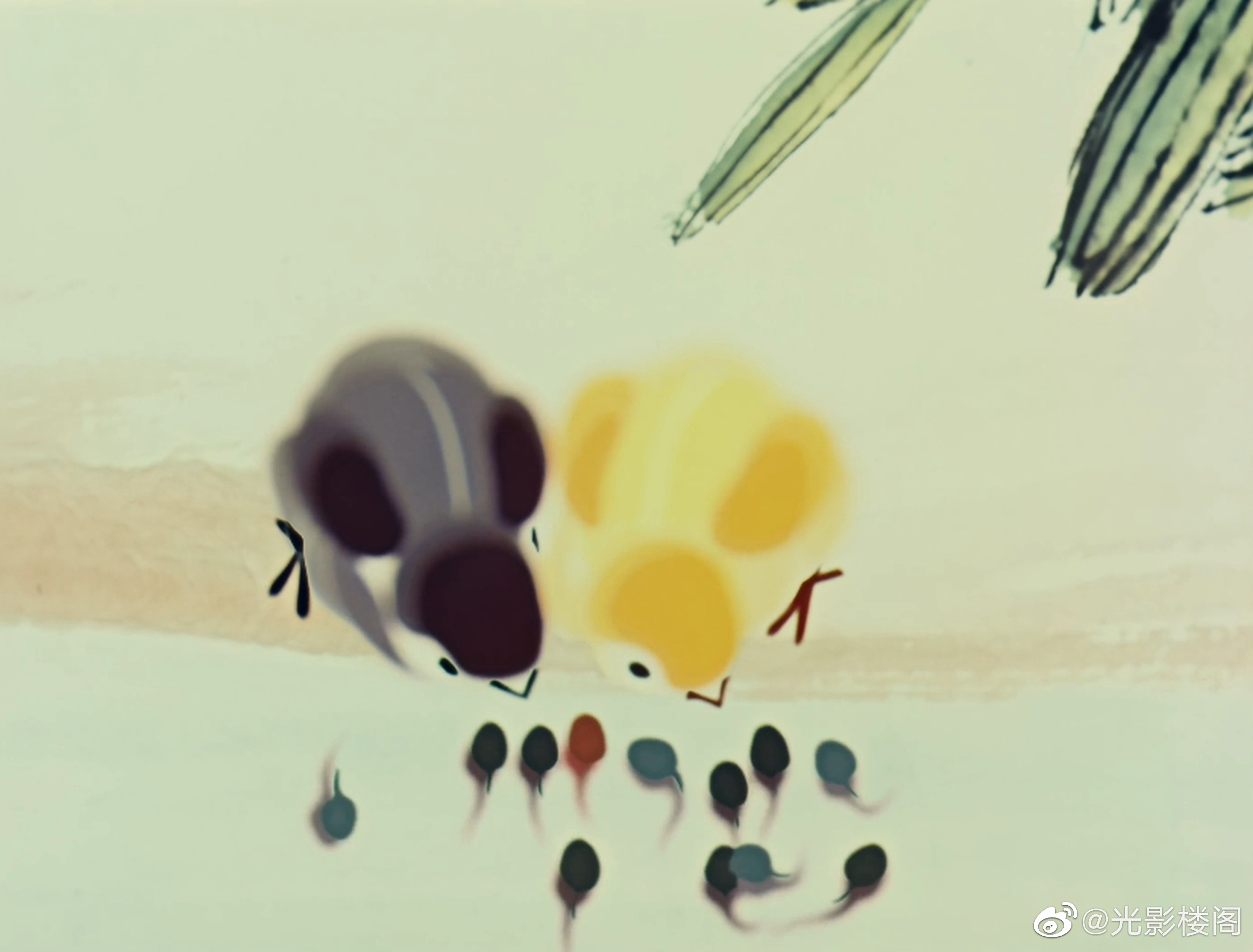 小蝌蚪找妈妈剧照的剧照