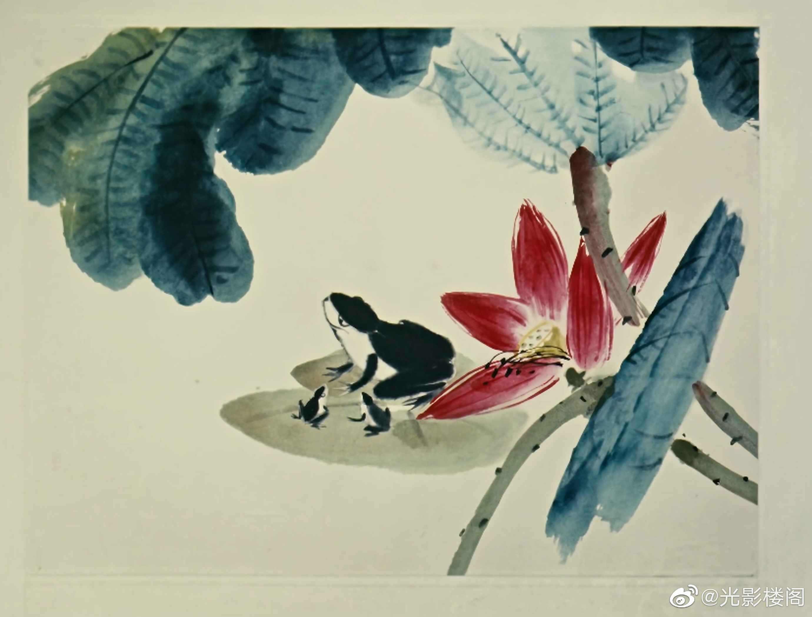 小蝌蚪找妈妈剧照的剧照