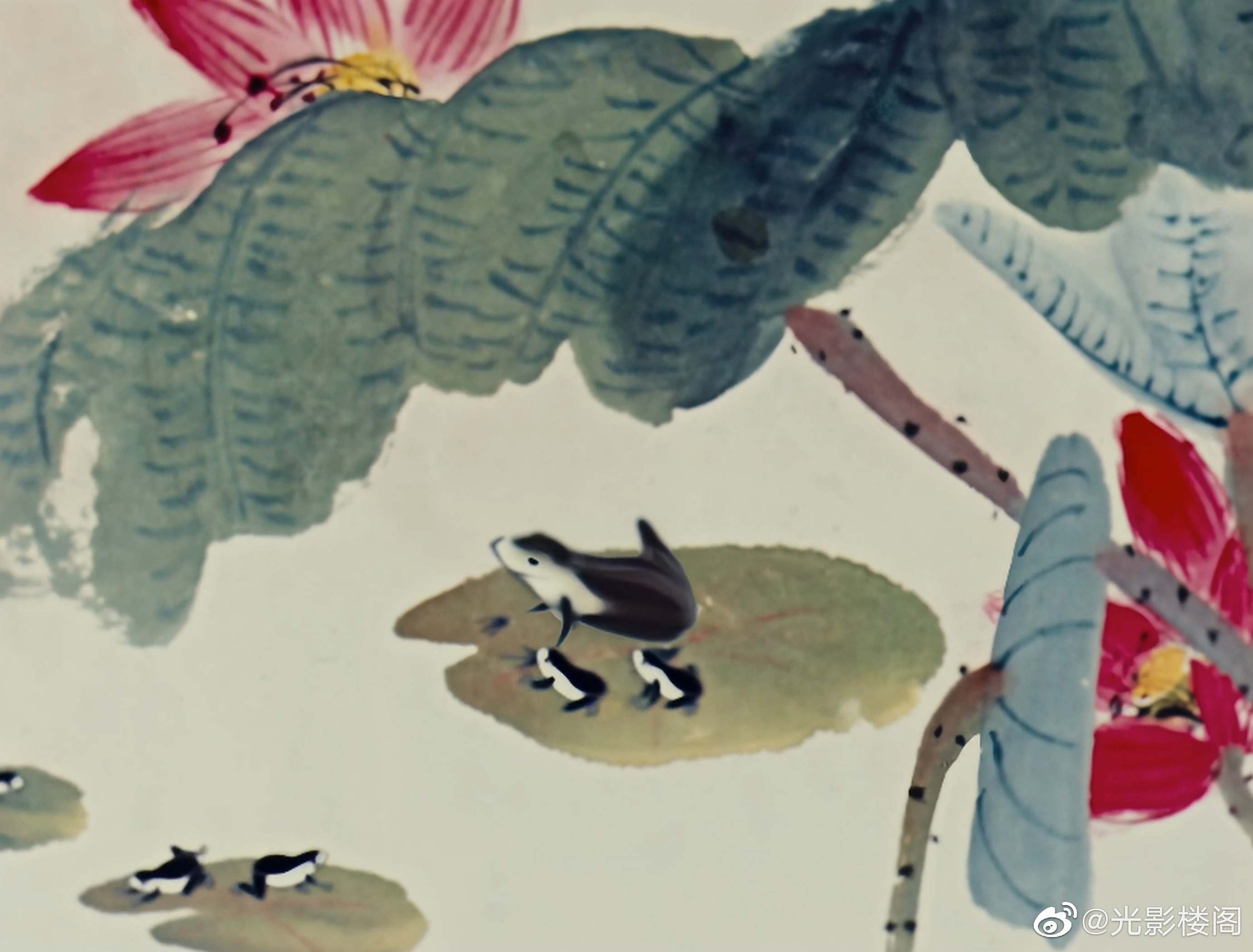 小蝌蚪找妈妈剧照的剧照