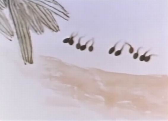 小蝌蚪找妈妈剧照的剧照