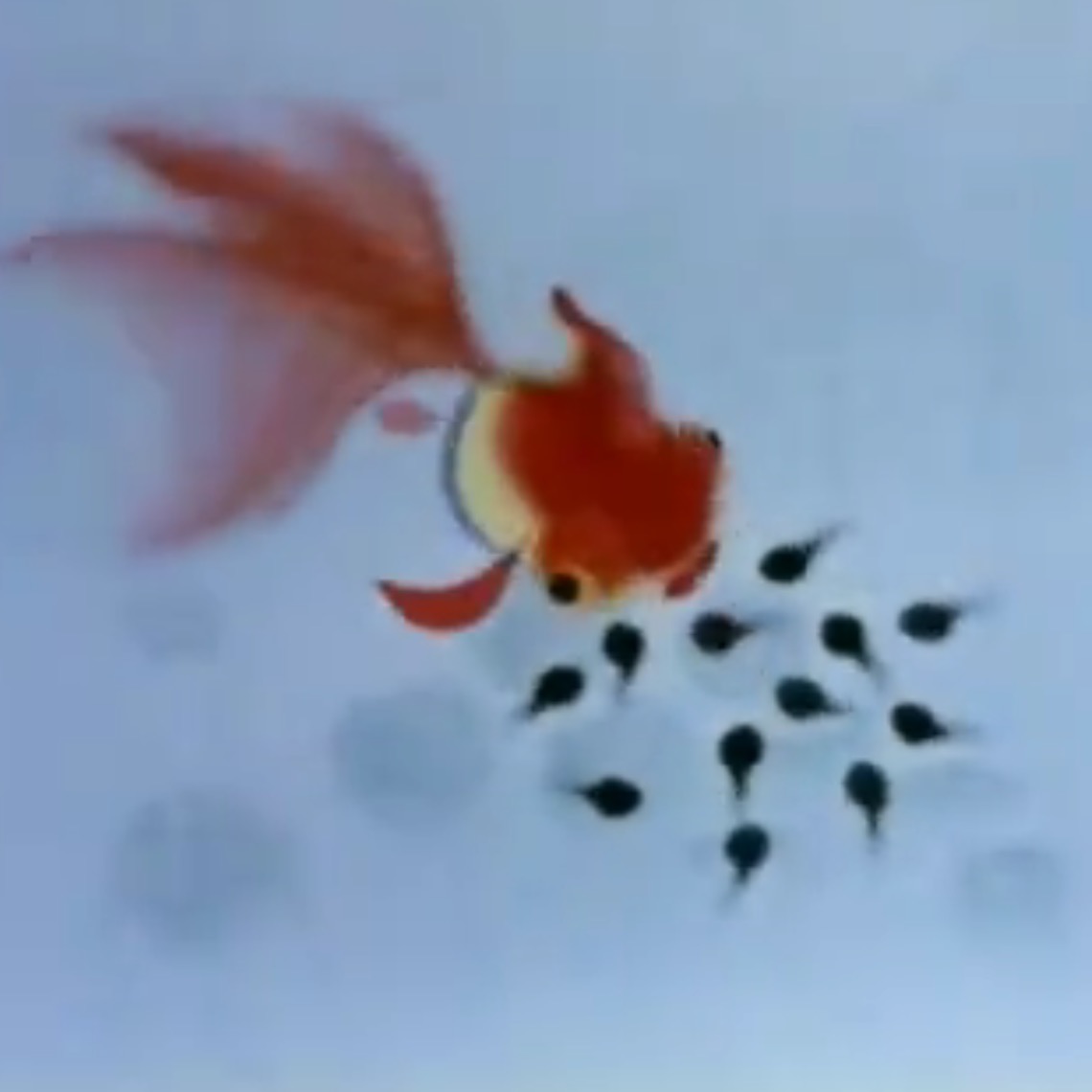 小蝌蚪找妈妈剧照的剧照