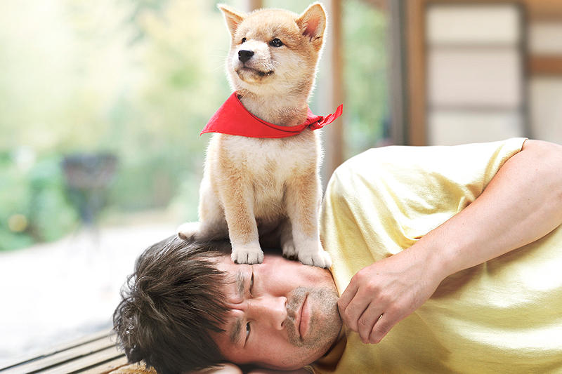 豆柴一郎3D剧照的剧照