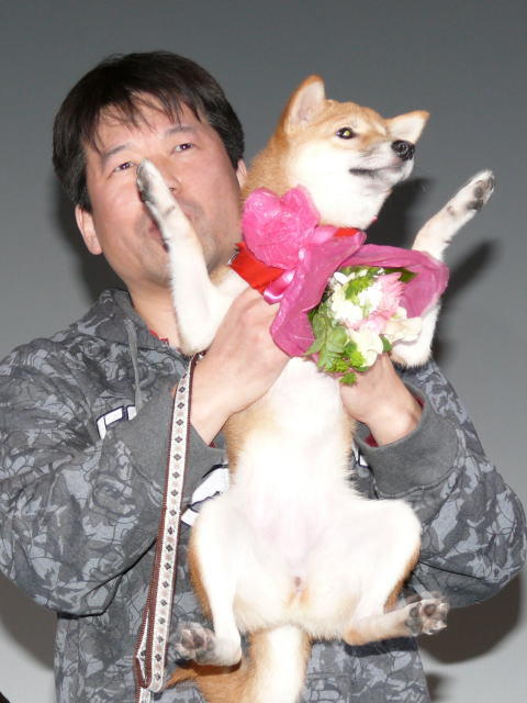 豆柴一郎3D剧照的剧照