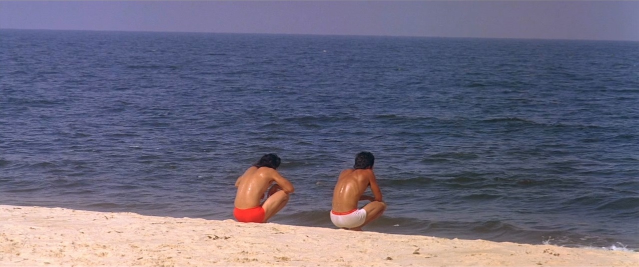 一半海水一半火焰剧照的剧照