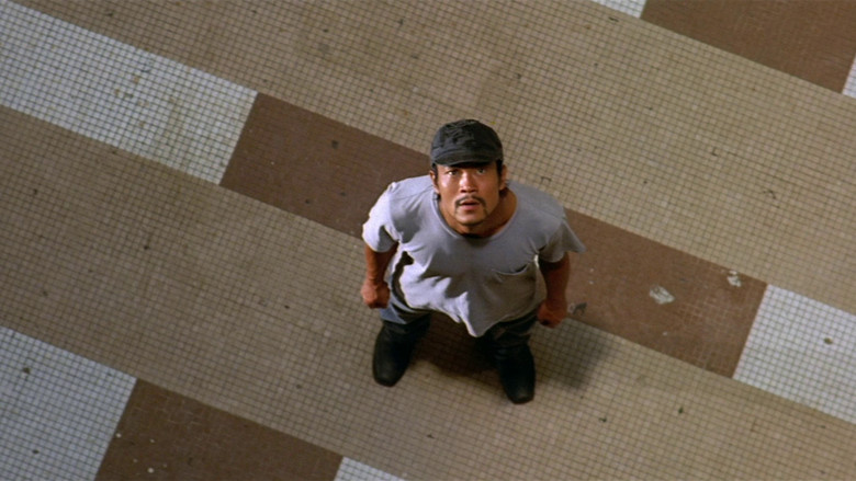 一半海水一半火焰剧照的剧照