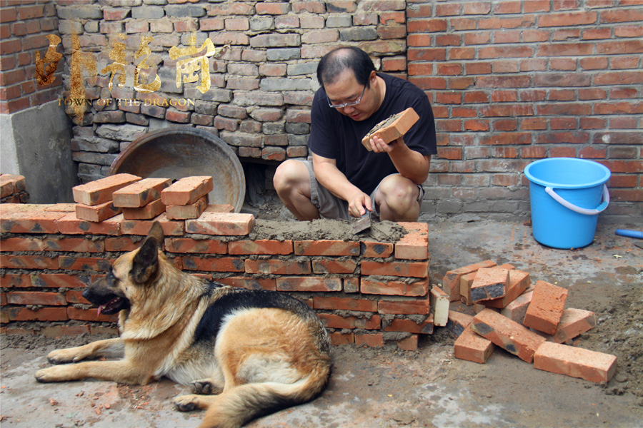 卧龙岗剧照的剧照