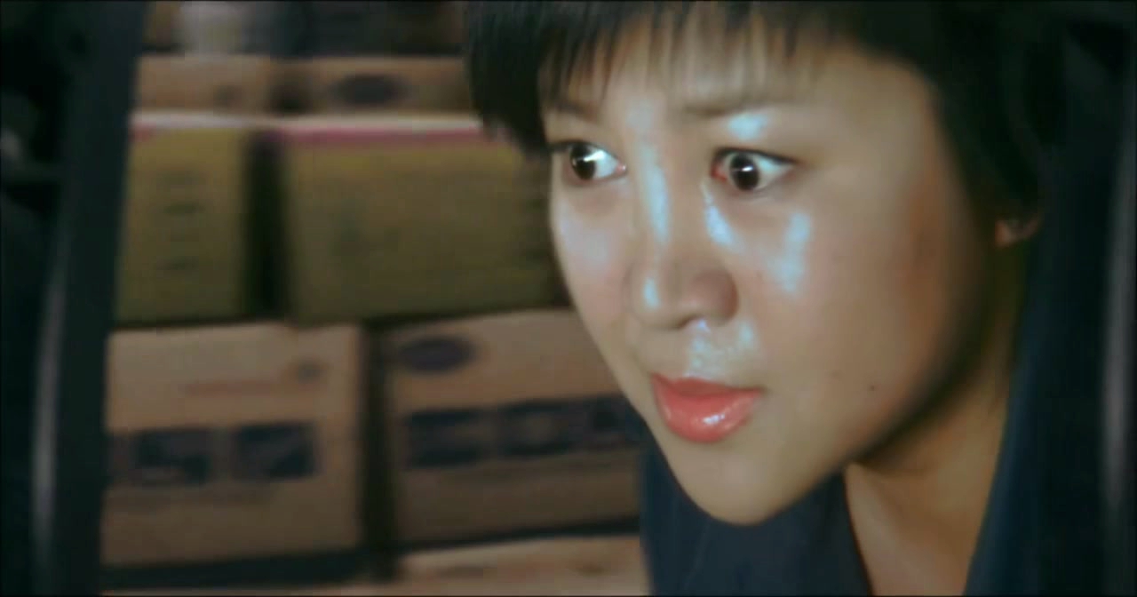 卧龙岗剧照的剧照