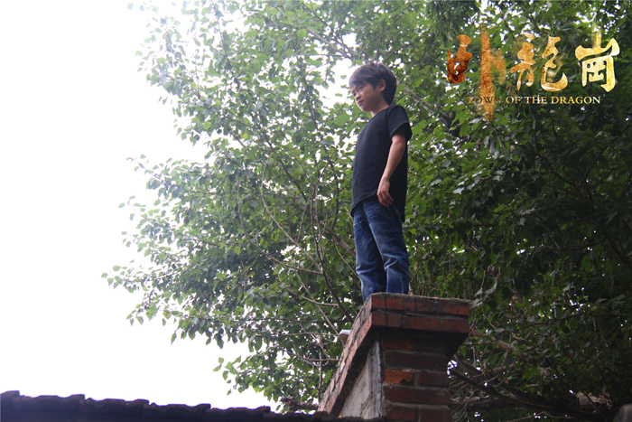 卧龙岗剧照的剧照