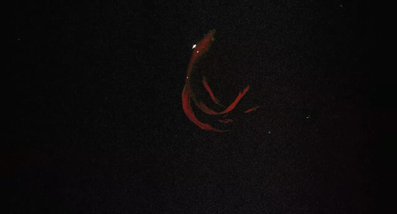 斗鱼剧照的剧照