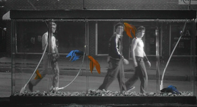 斗鱼剧照的剧照