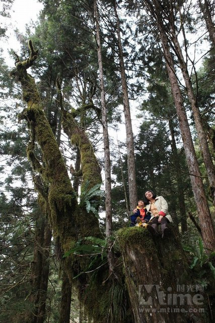 白天的星星剧照的剧照