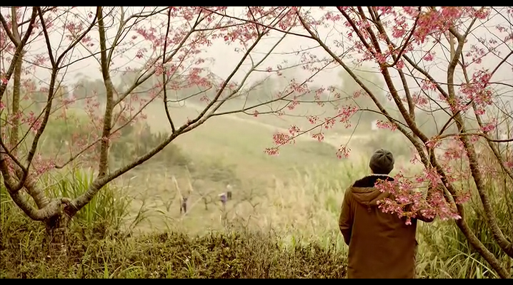 白天的星星剧照的剧照