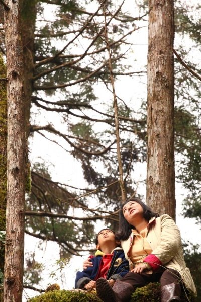 白天的星星剧照的剧照