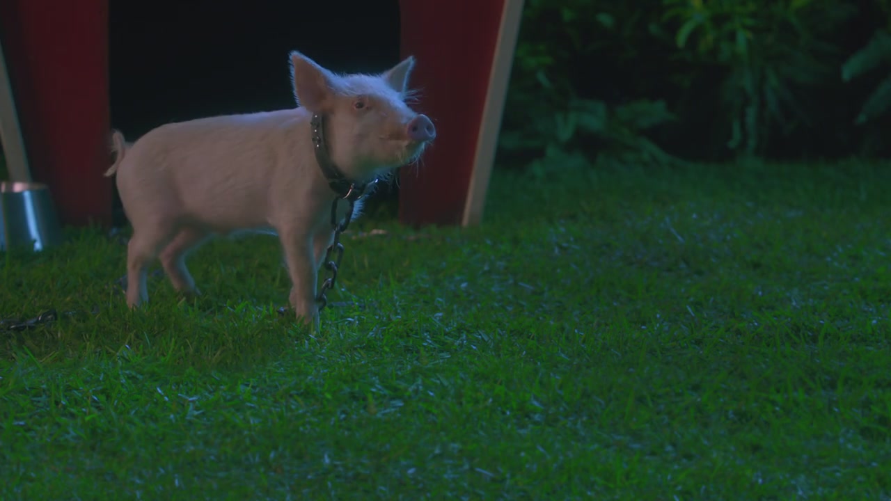 牙仙2剧照的剧照