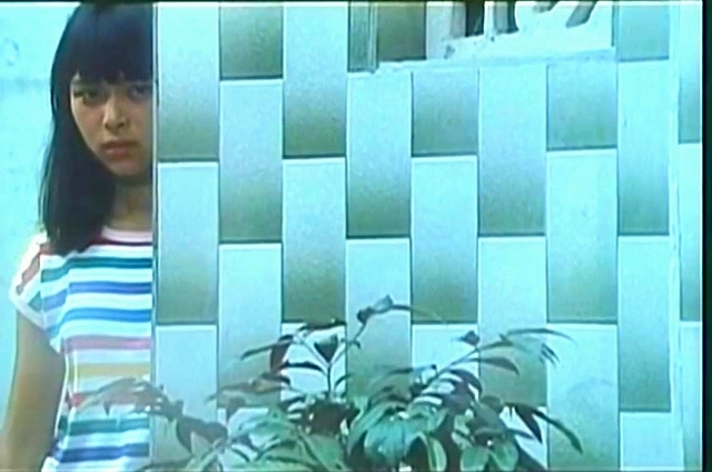 雅马哈鱼档剧照的剧照