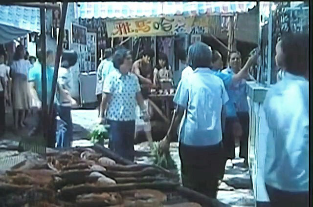 雅马哈鱼档剧照的剧照