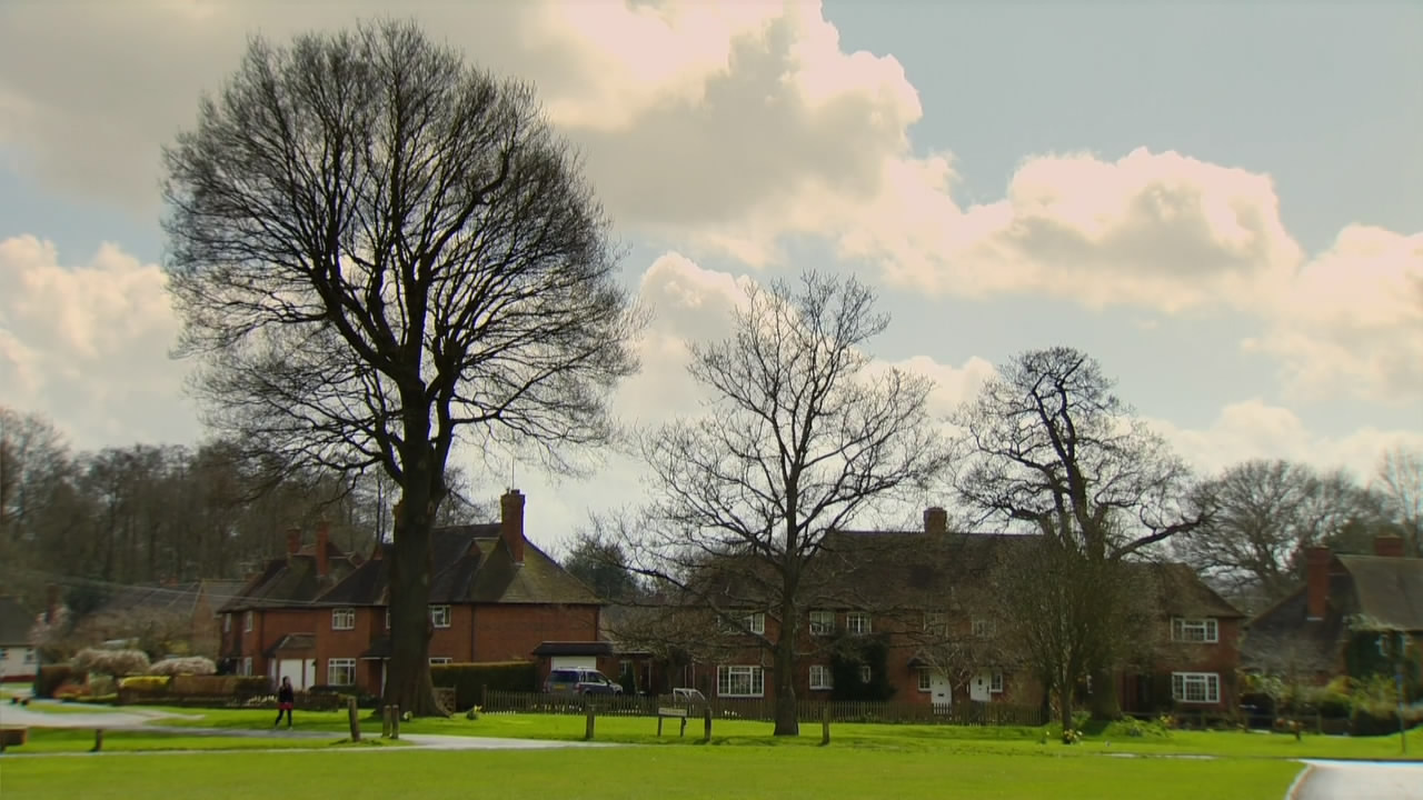 猫的秘密生活剧照的剧照