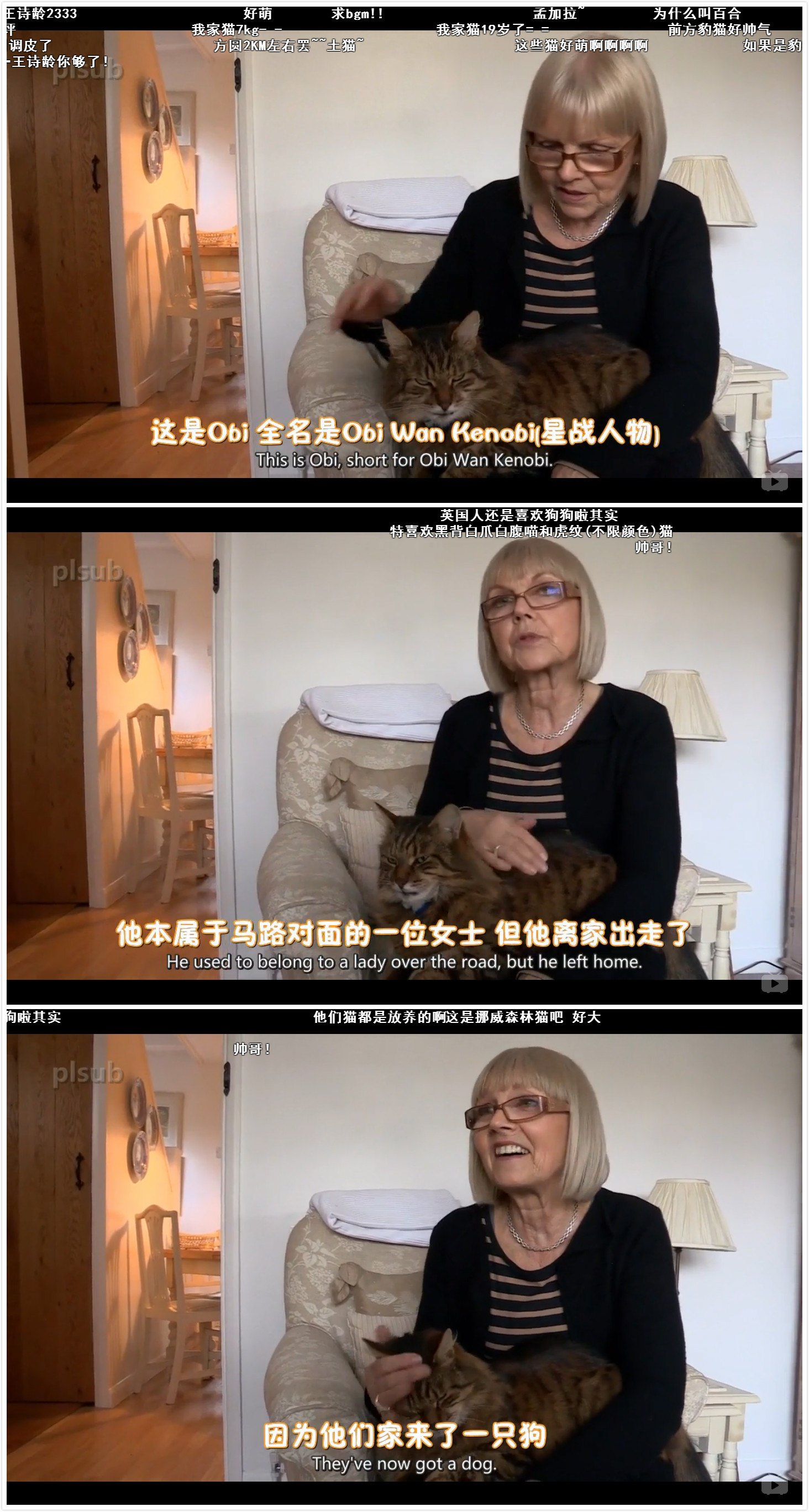 猫的秘密生活剧照的剧照