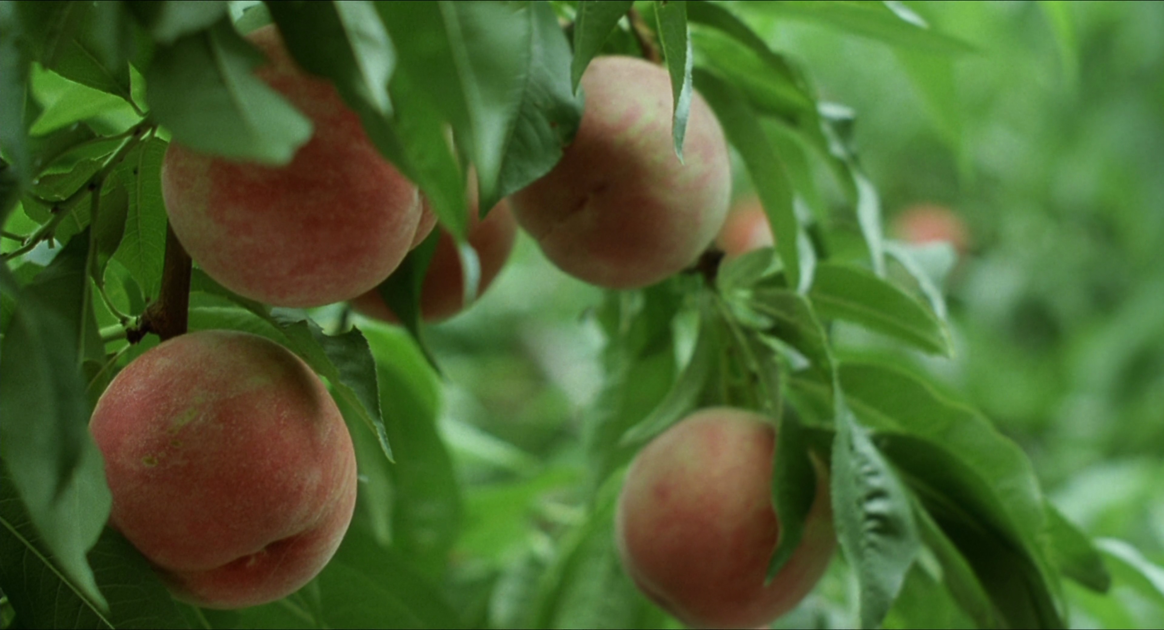 百万元与苦虫女剧照的剧照