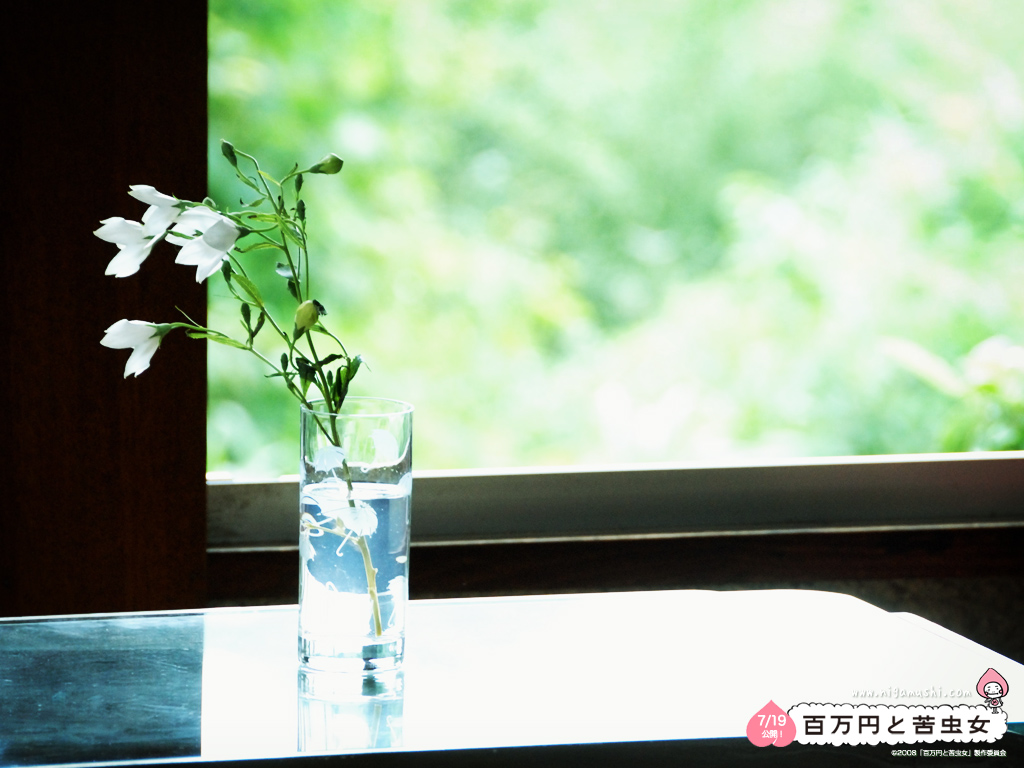 百万元与苦虫女剧照的剧照