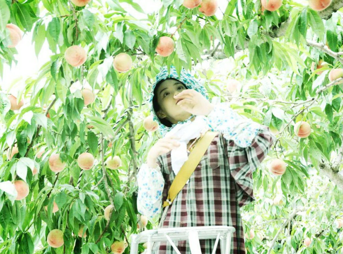 百万元与苦虫女剧照的剧照