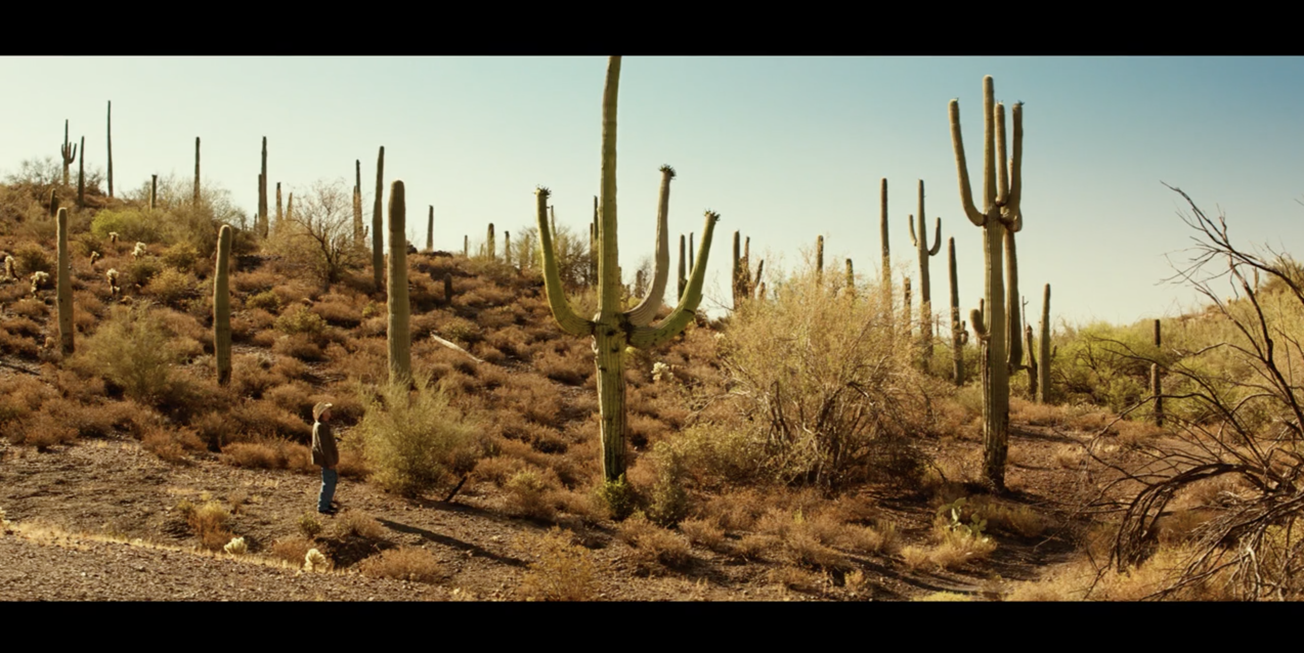 老幸运剧照的剧照