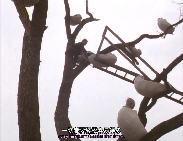 梦想之城剧照的剧照