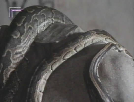 梦想之城剧照的剧照