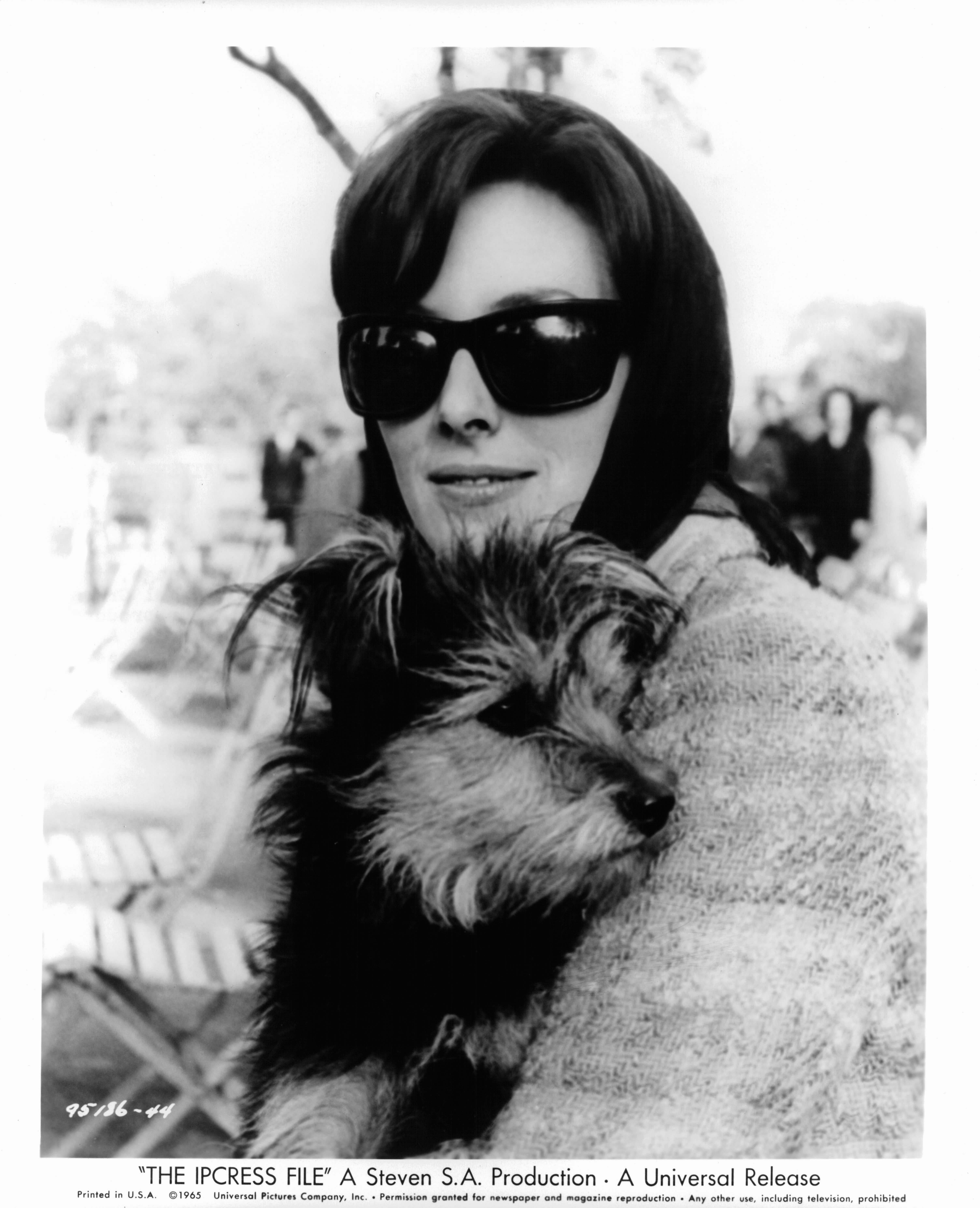 伊普克雷斯档案剧照的剧照