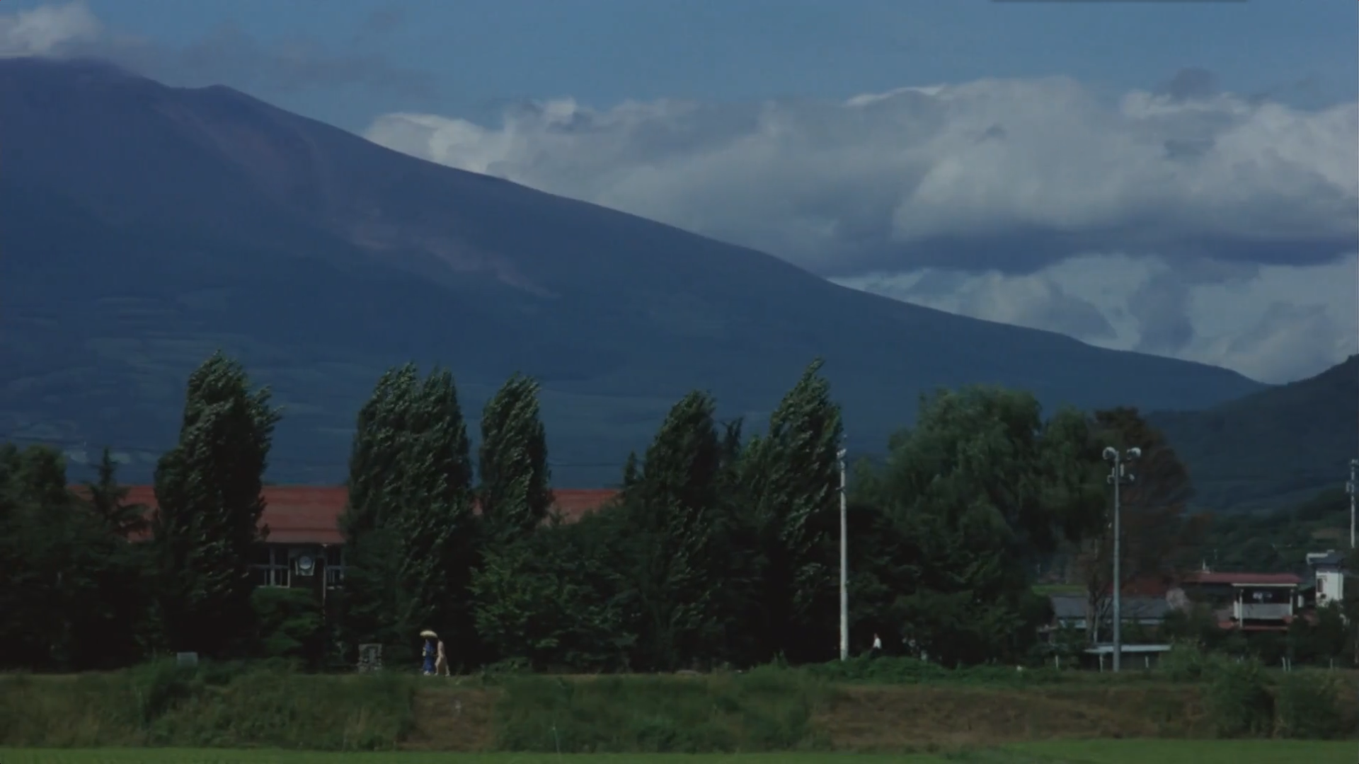 台风俱乐部剧照的剧照